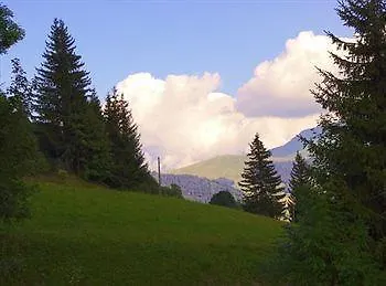 Chalet Chalet Alvine *